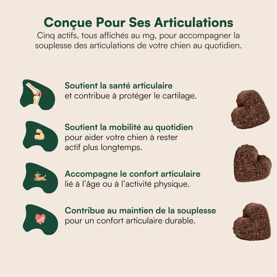 Aniva Souplesse