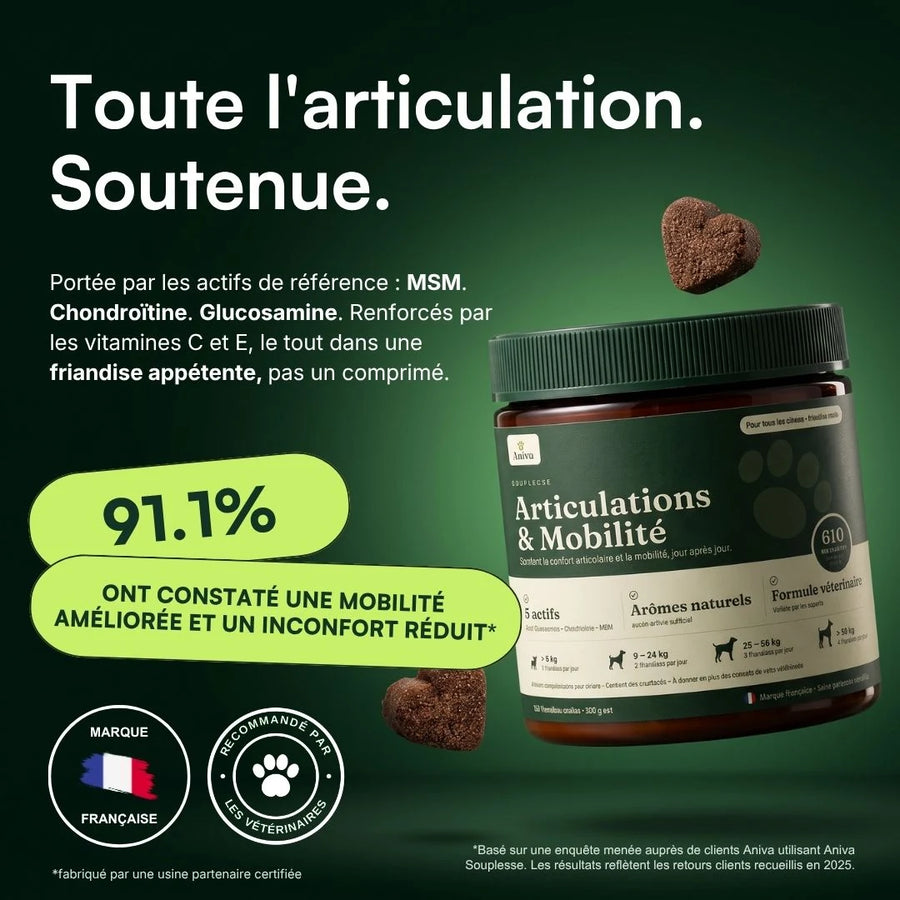 Aniva Souplesse