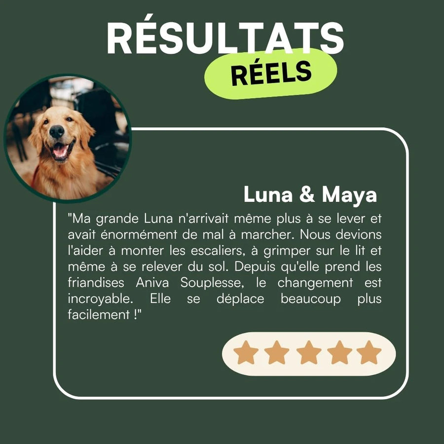 Aniva Souplesse