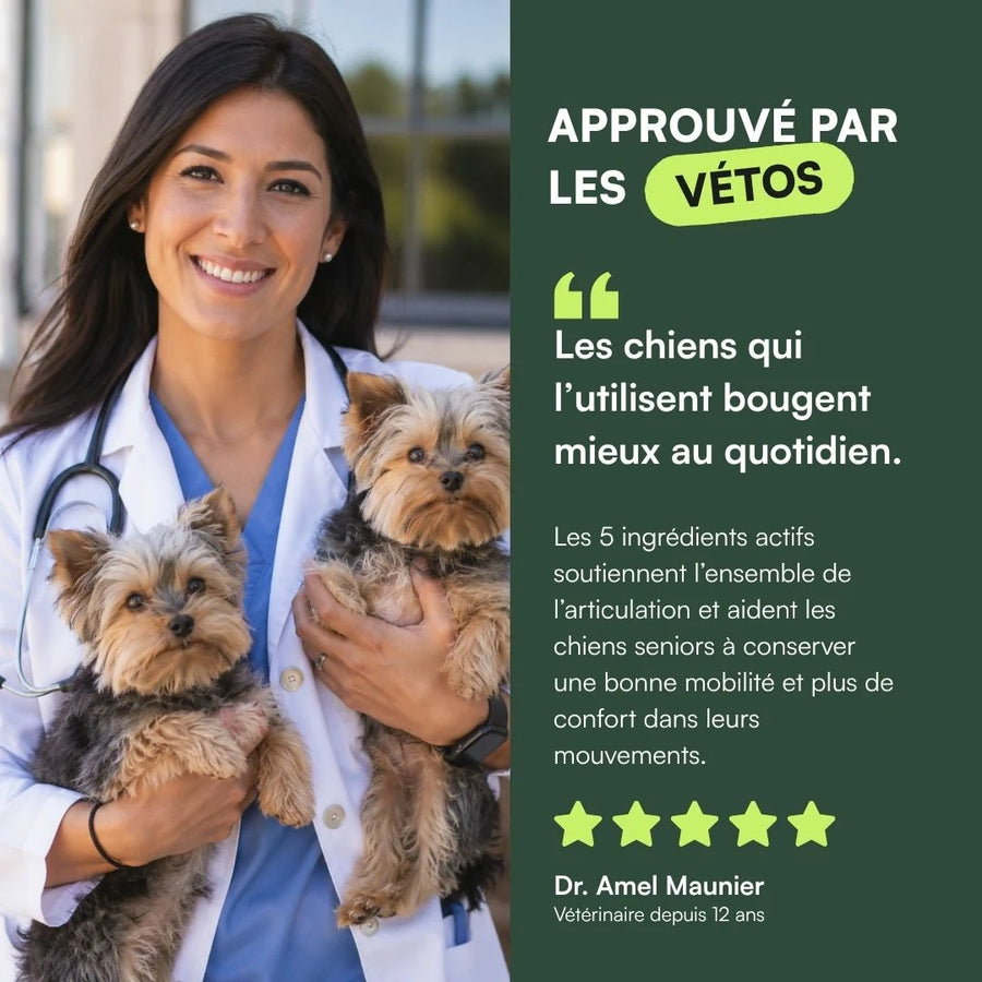 Aniva Souplesse