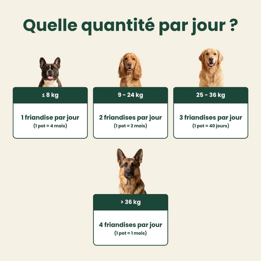 Aniva Souplesse — labrador et pots