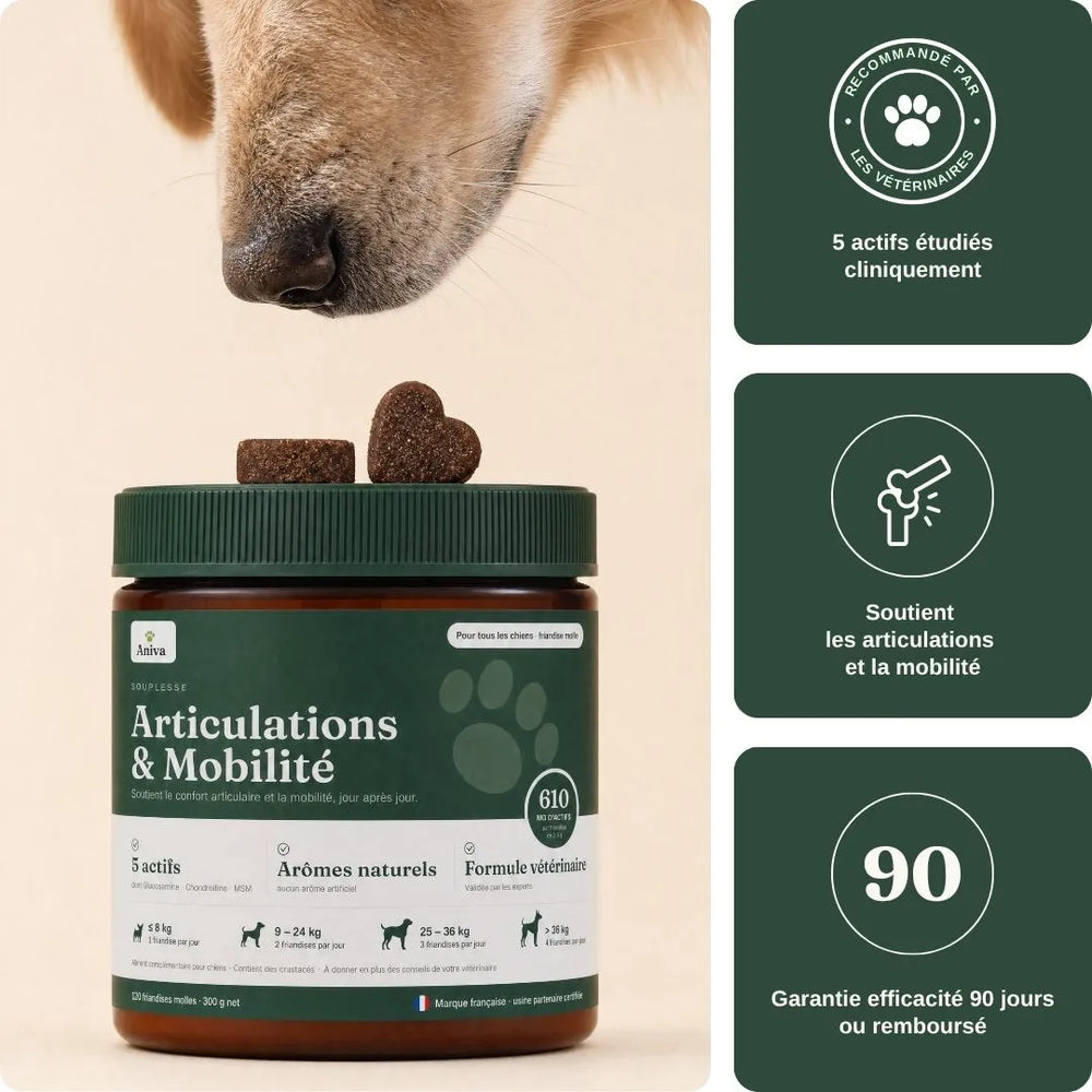 Aniva Souplesse — packshot