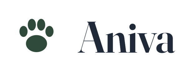 Aniva