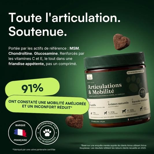 Aniva Souplesse